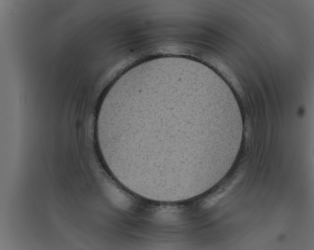 X0000094220445200711241725