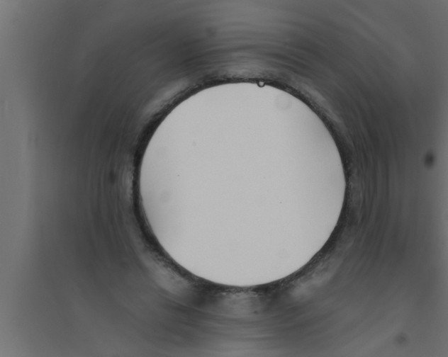 X0000094220446200711241725