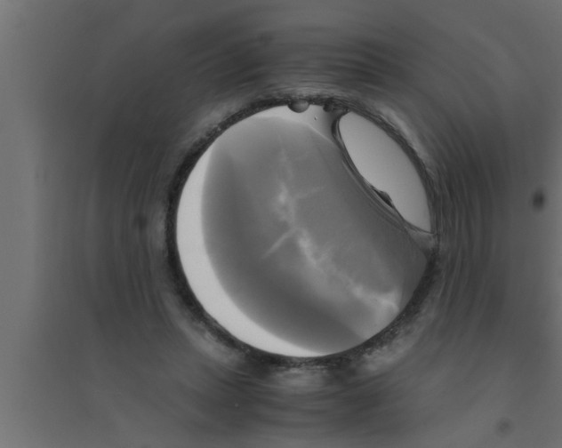 X0000094220447200711241725