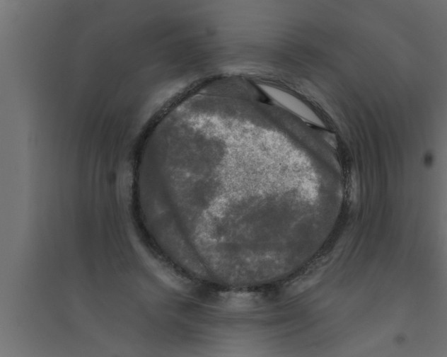 X0000094220448200711241725