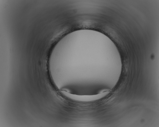 X0000094220450200711241725