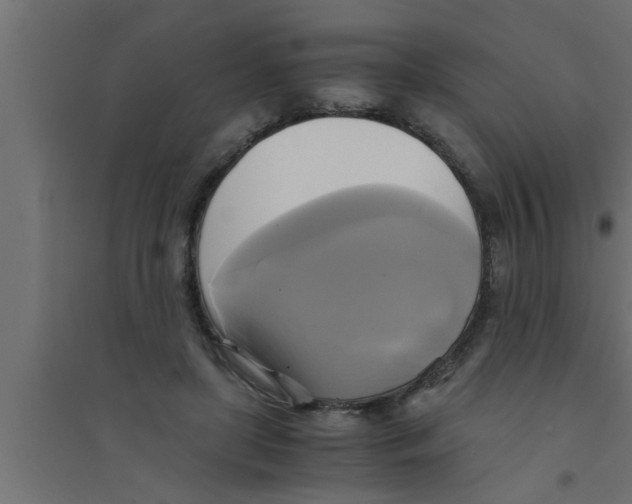 X0000094220451200711241725