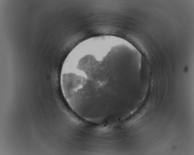 X0000094220453200711241725