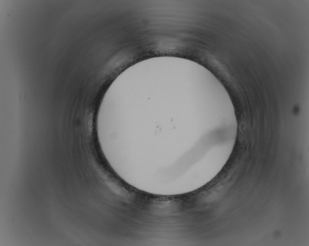 X0000094220454200711241725