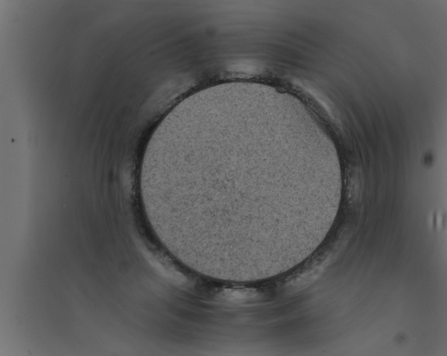 X0000094220455200711241725