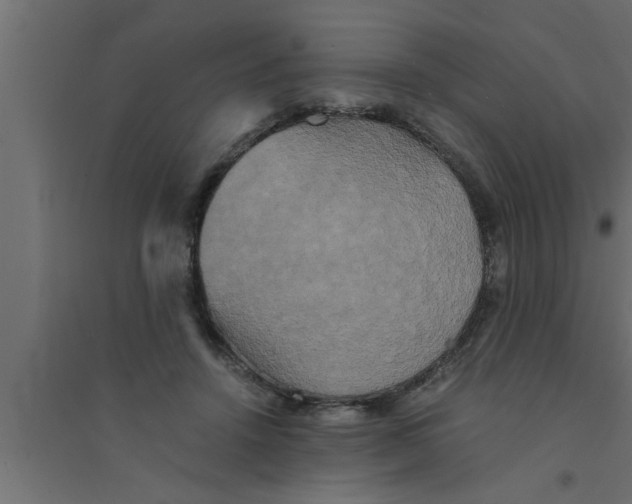 X0000094220456200711241725