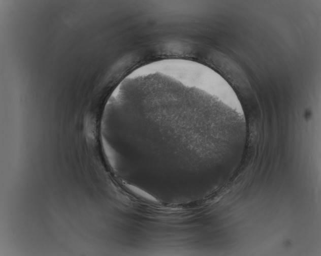 X0000094220457200711241725