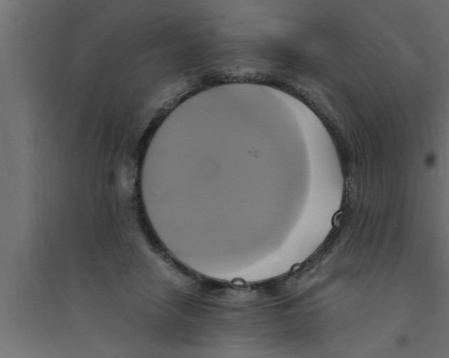 X0000094220458200711241725