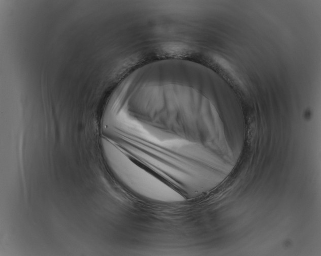 X0000094220459200711241725