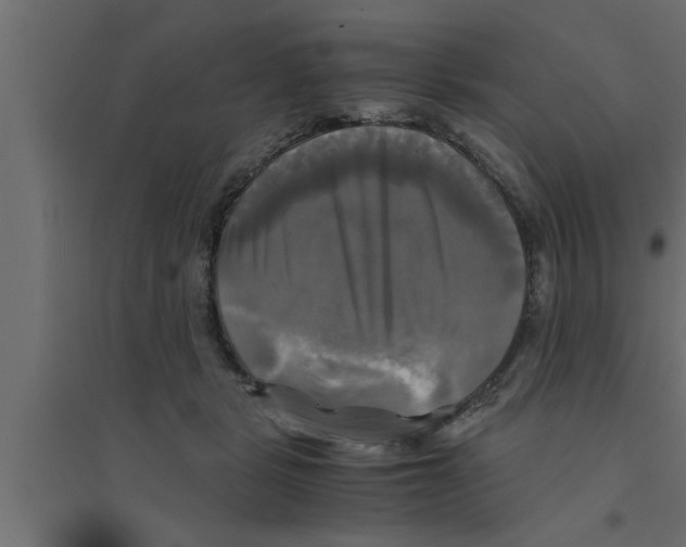 X0000094220461200711241725