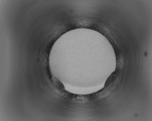 X0000094220464200711241725