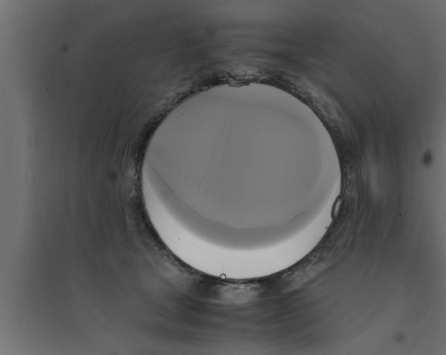 X0000094220465200711241725