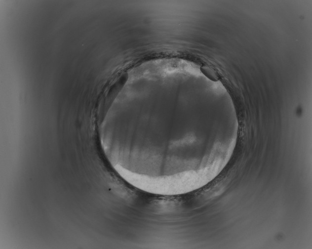 X0000094220466200711241725