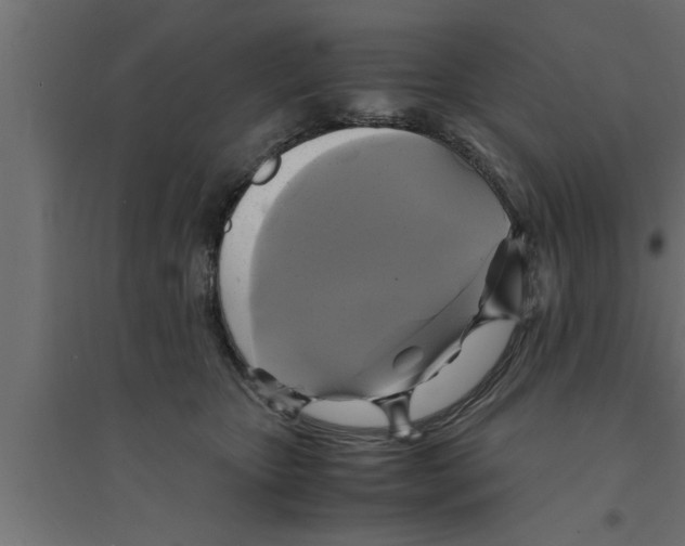 X0000094220467200711241725