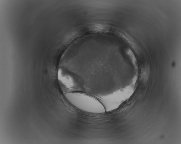 X0000094220469200711241726