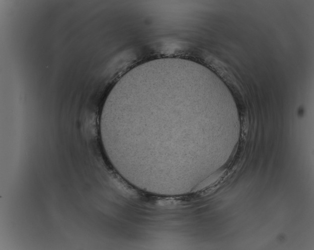 X0000094220470200711241726