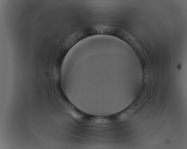 X0000094220471200711241726