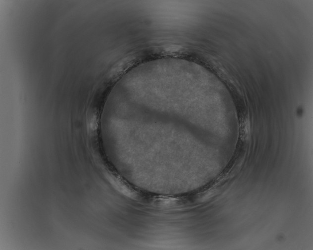 X0000094220472200711241726