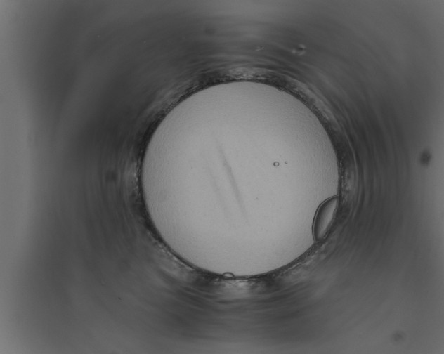 X0000094220473200711241726