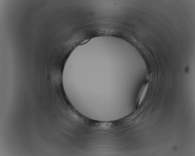 X0000094220474200711241726