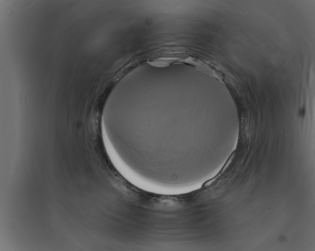 X0000094220475200711241726