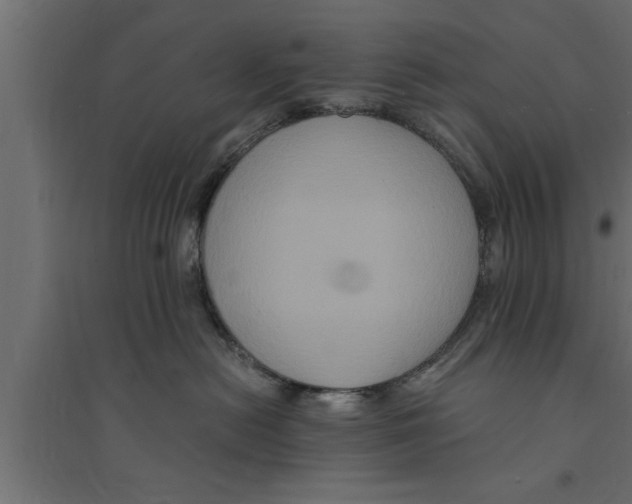 X0000094220478200711241726