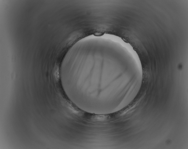 X0000094220479200711241726