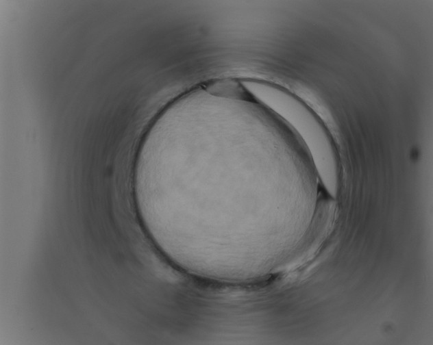 X0000094220481200711241725