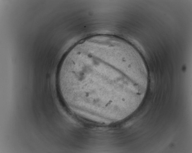 X0000094220482200711241725