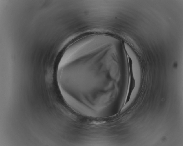 X0000094220484200711241725