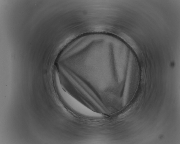 X0000094220485200711241725