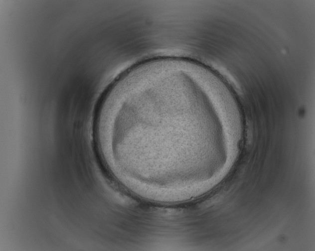 X0000094220486200711241725