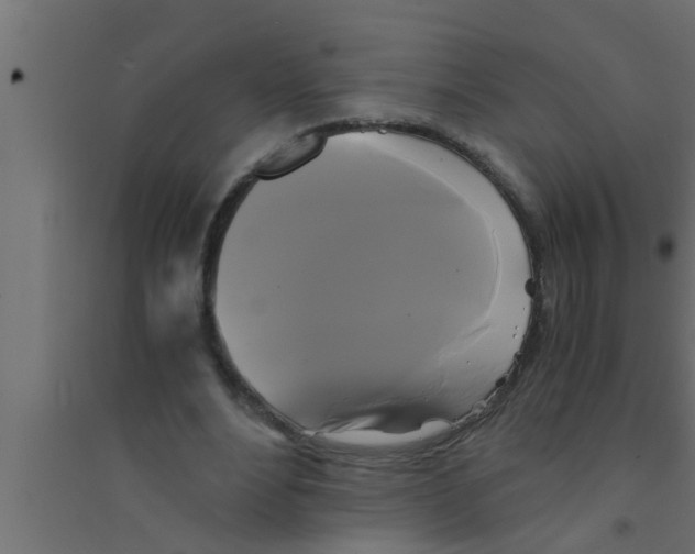 X0000094220488200711241725