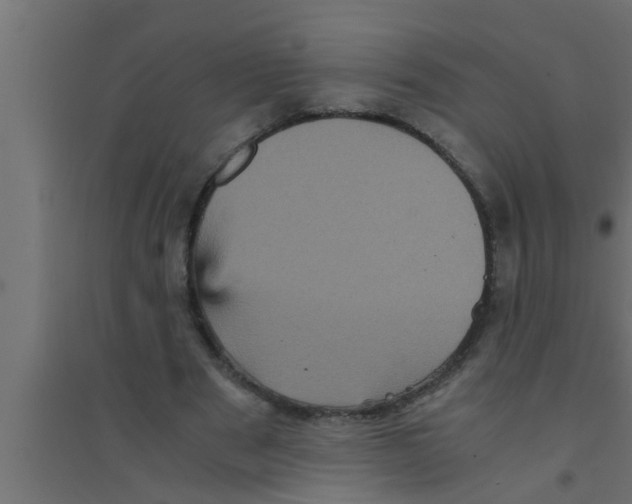 X0000094220489200711241725