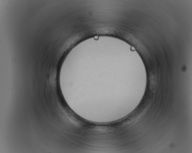 X0000094220490200711241725