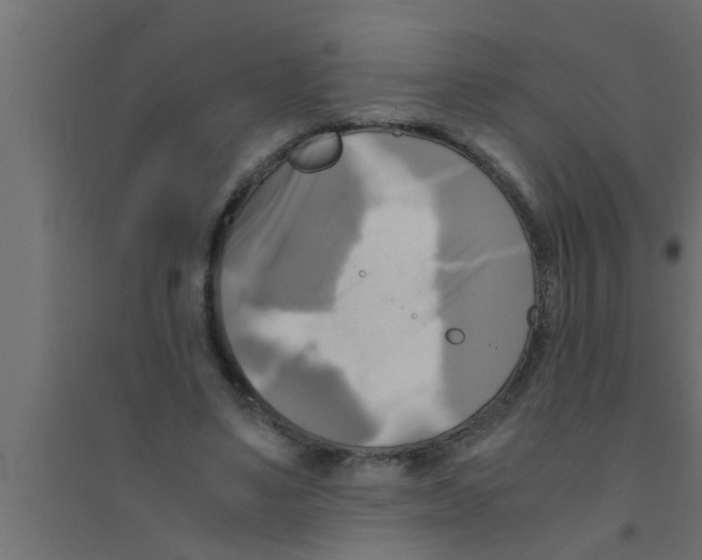 X0000094220491200711241725