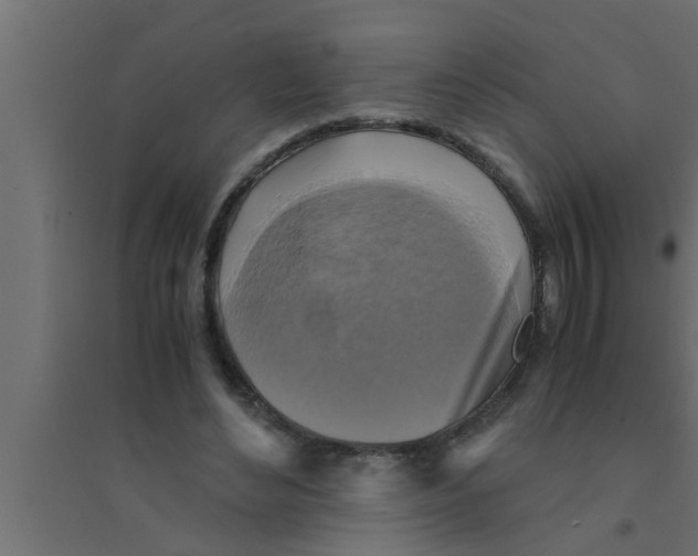 X0000094220492200711241725