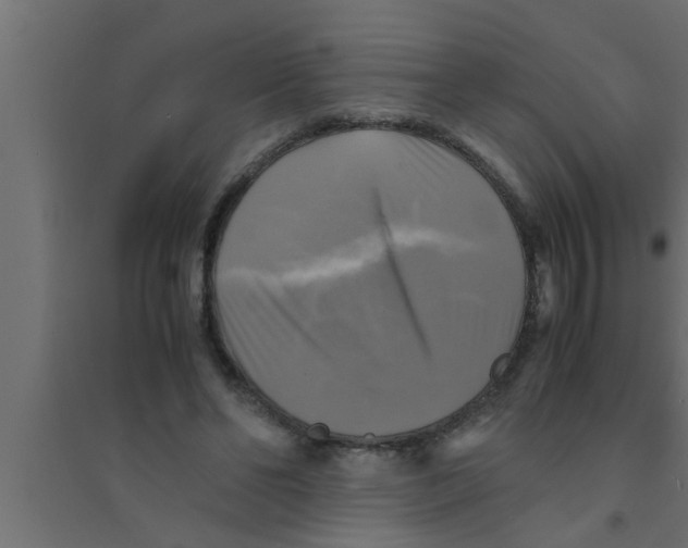 X0000094220494200711241725