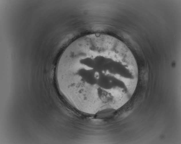 X0000094220495200711241725