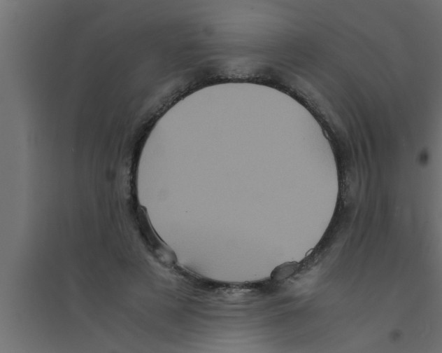 X0000094220497200711241725