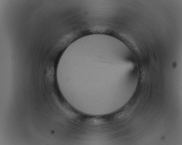 X0000094220498200711241725