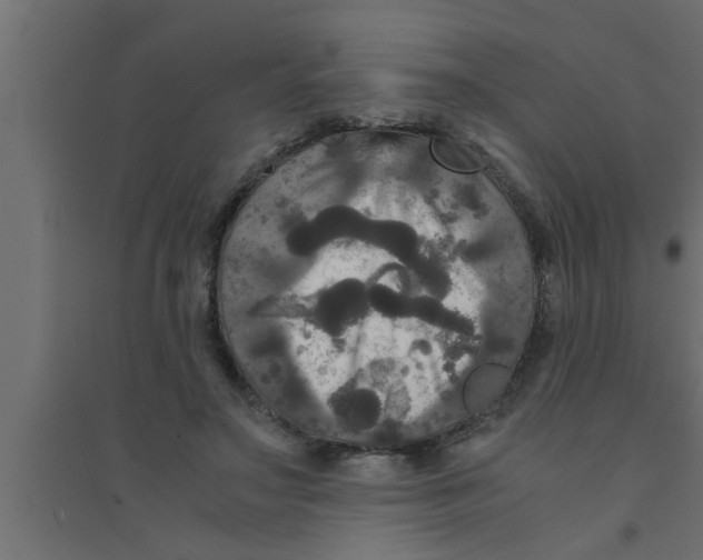 X0000094220499200711241725