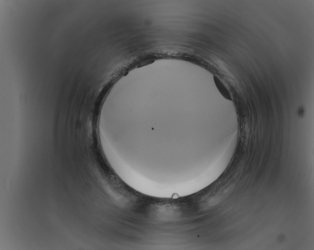 X0000094220500200711241725