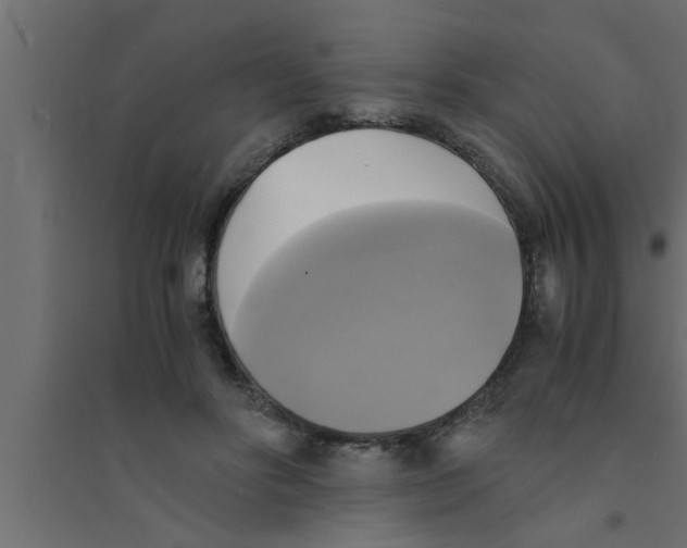 X0000094220502200711241725