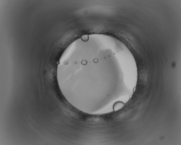 X0000094220503200711241725