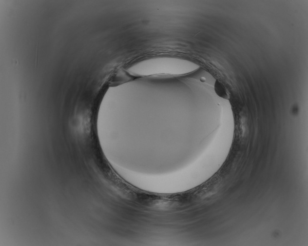 X0000094220504200711241725