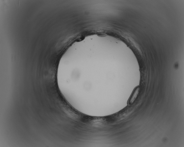 X0000094220505200711241725