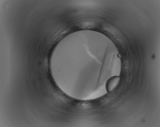 X0000094220506200711241724