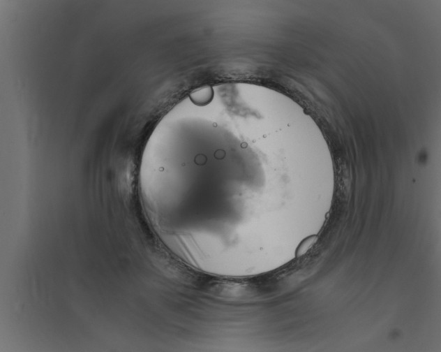 X0000094220507200711241724