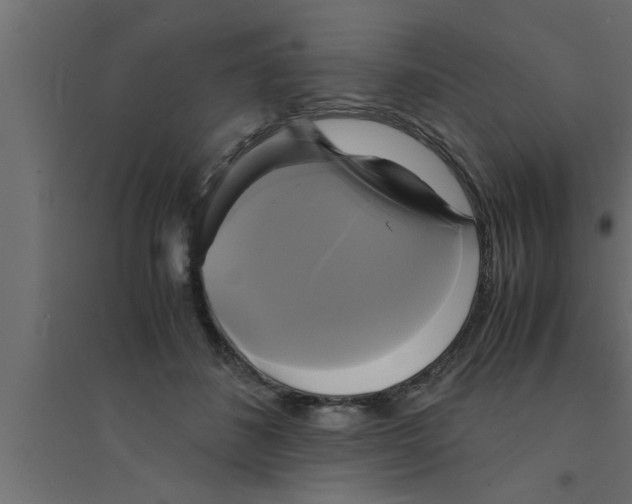 X0000094220508200711241724